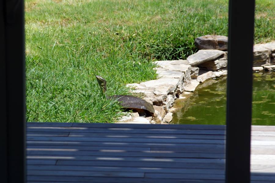 11866277_10156026212045651_3005853953206023382_n