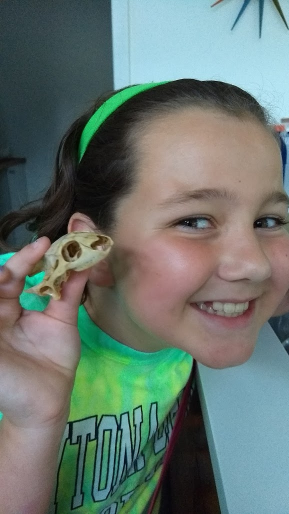 IMG_20171004_183446196_BURST000_COVER_TOP