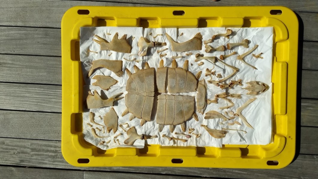 IMG_20171005_112623615