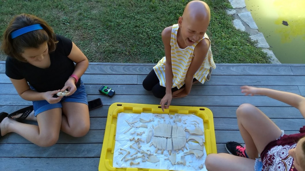 IMG_20171022_145104715