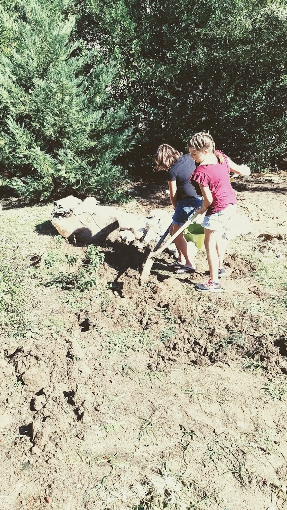 IMG_20171022_151627528