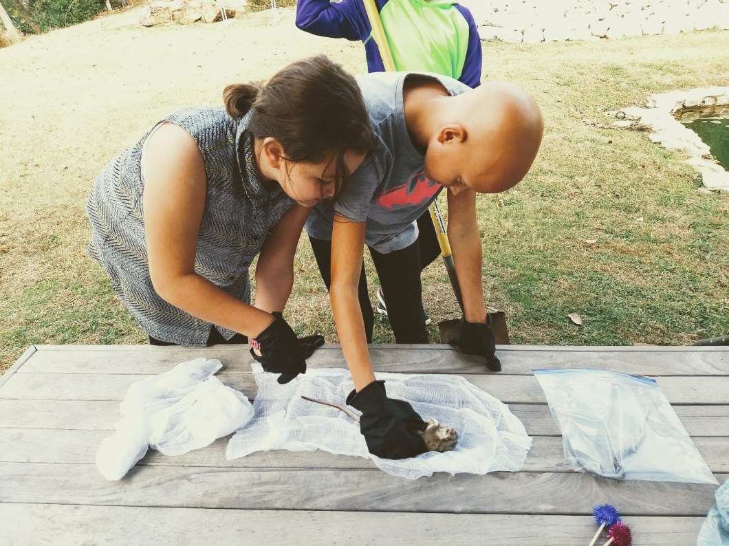 IMG_20171202_143253562