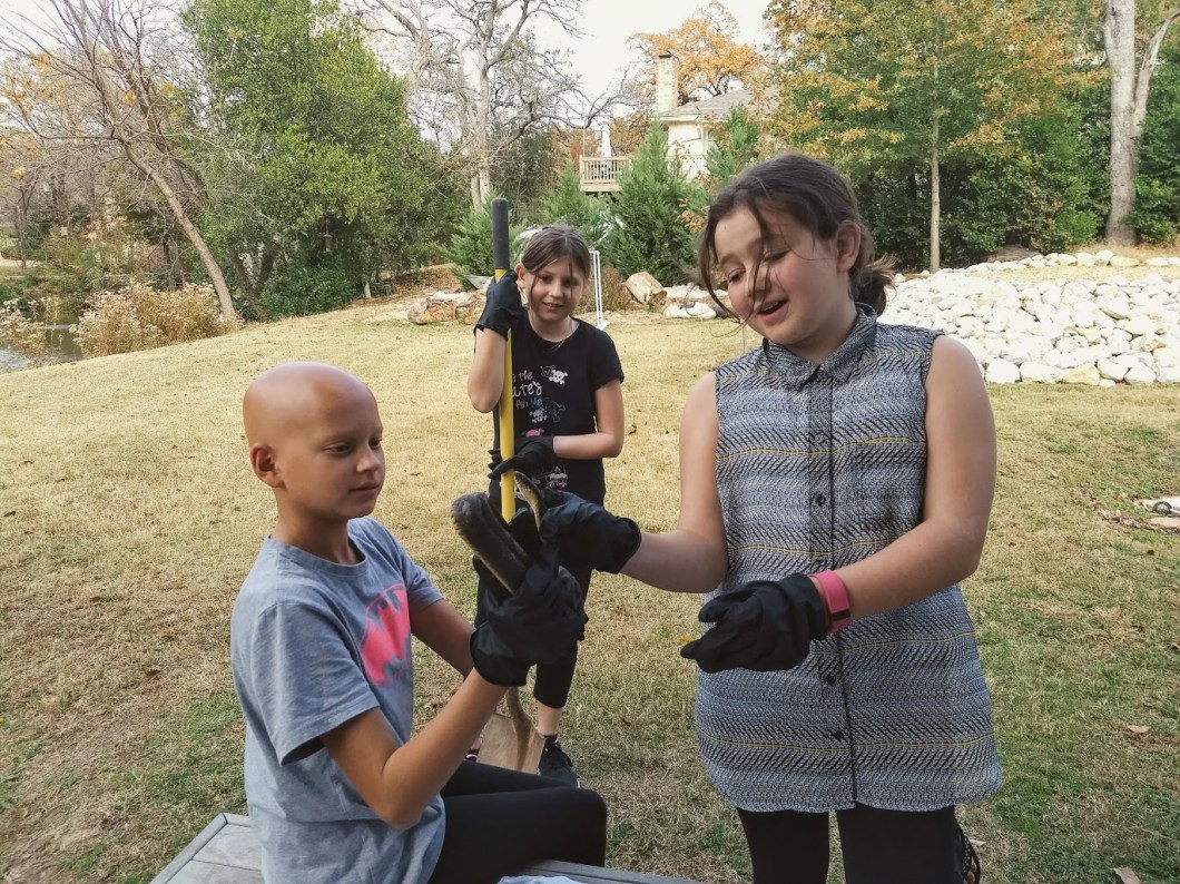 IMG_20171202_143527913