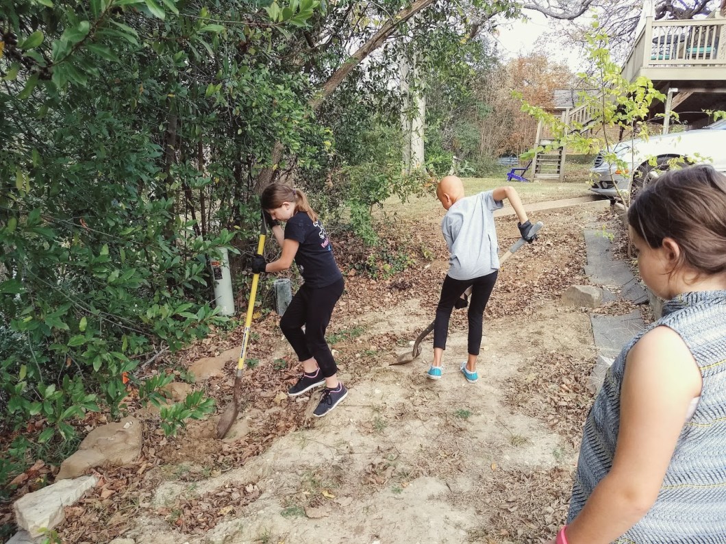 IMG_20171202_143853054