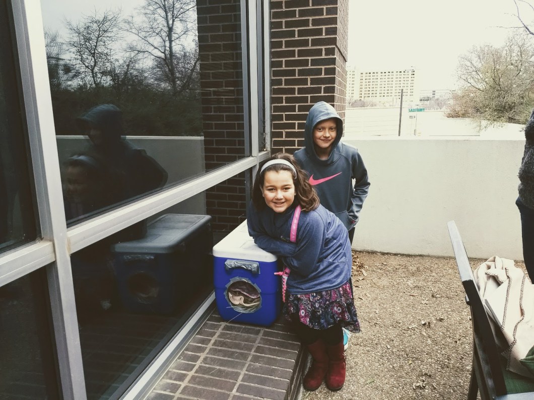 IMG_20180102_160941042