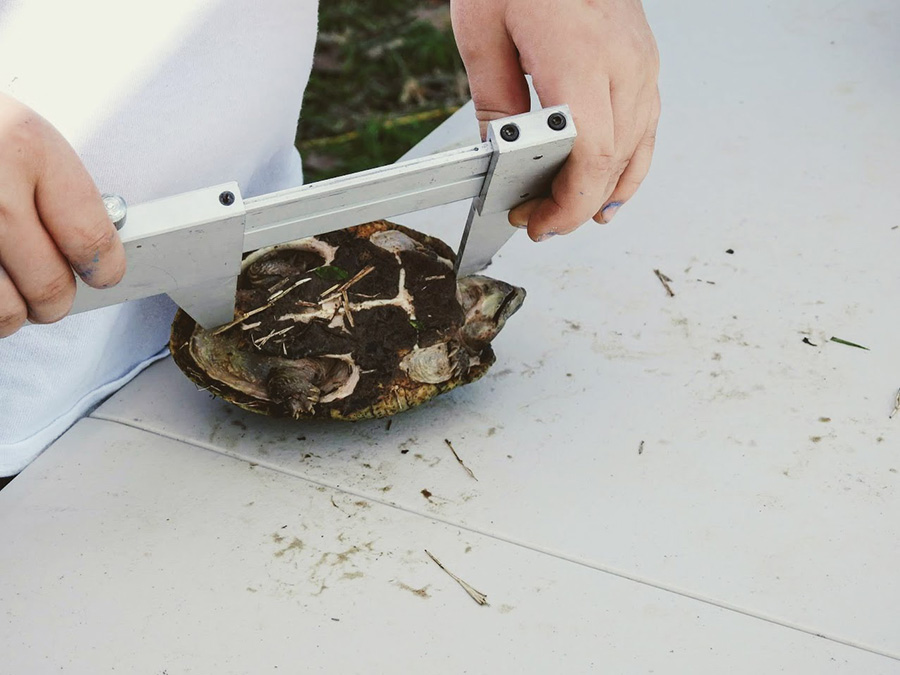 29104161_10107054965494630_8124265360070279168_o