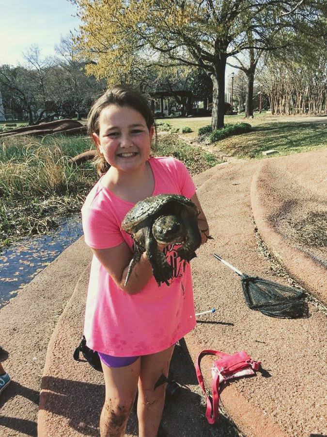 29261062_10107072372271310_7734685360734601216_n