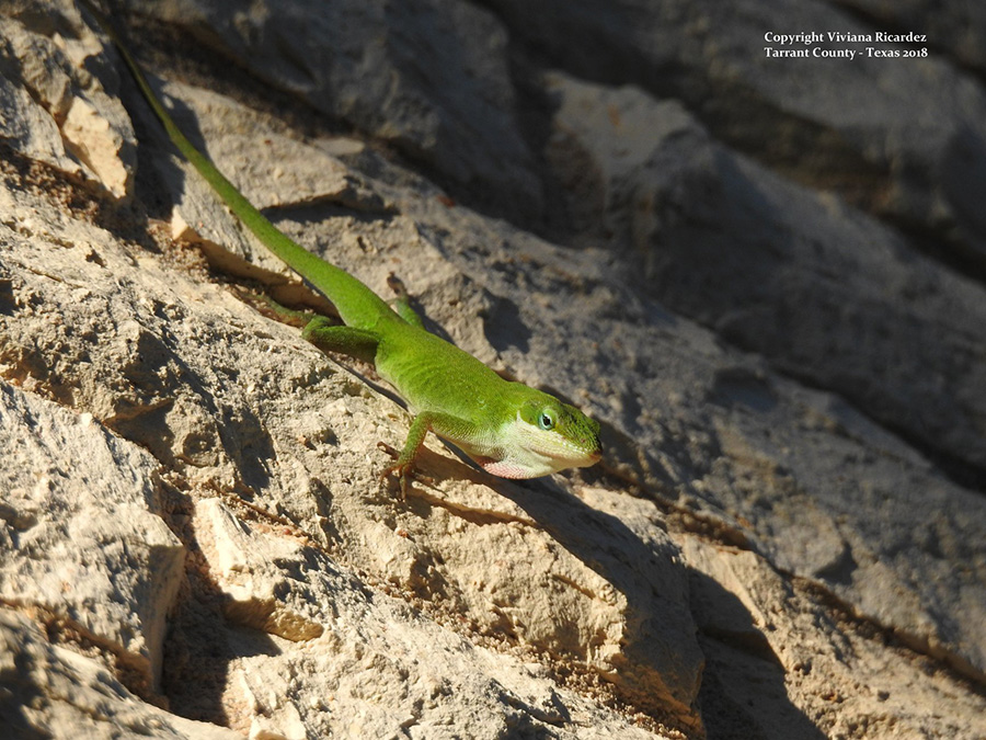 29662651_10107129975344290_3773863988965489431_o