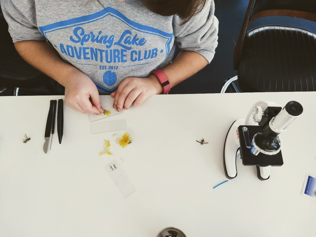 IMG_20180106_125138767