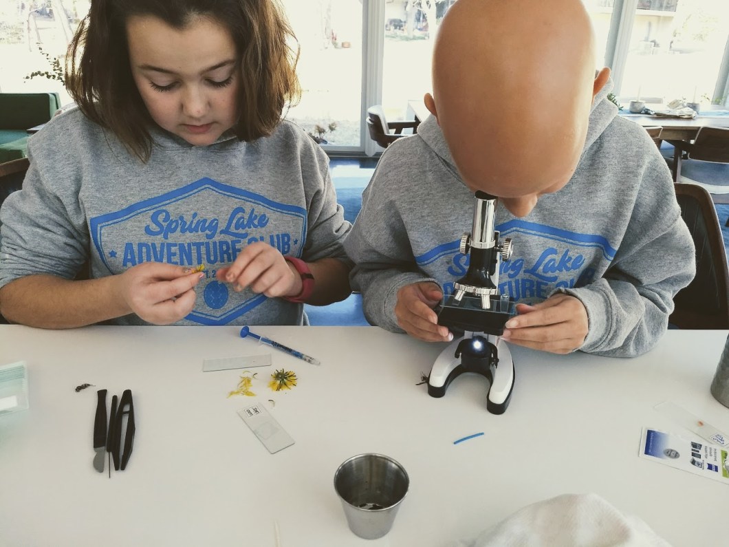 IMG_20180106_125349206