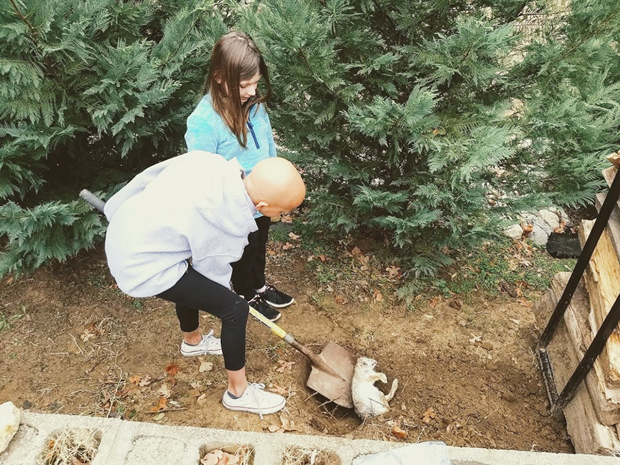 IMG_20180218_101507603