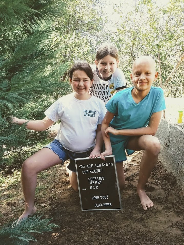 IMG_20180303_141604552