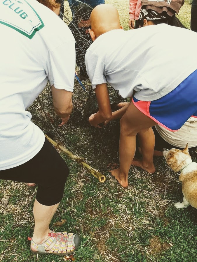 IMG_20180310_093522455