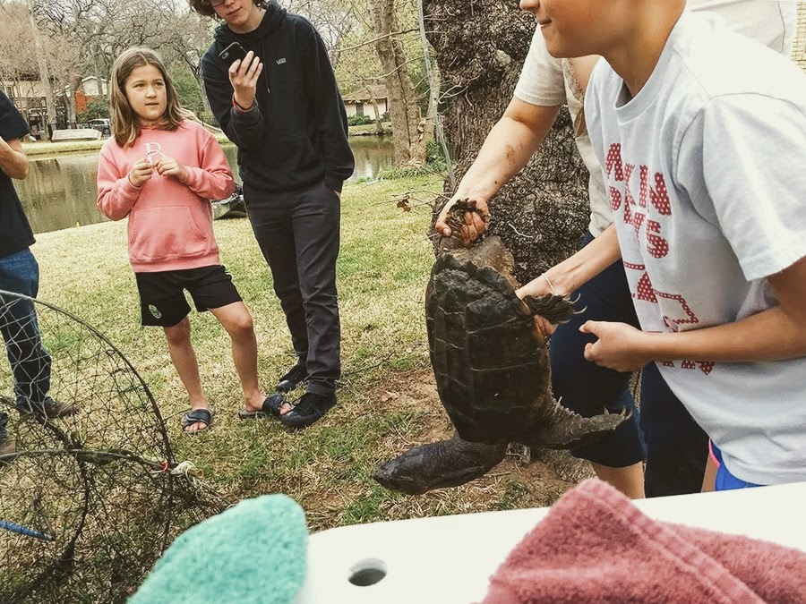 IMG_20180310_093547050