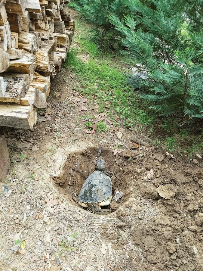 IMG_20180406_105837522