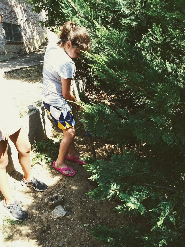 IMG_20180531_155811616