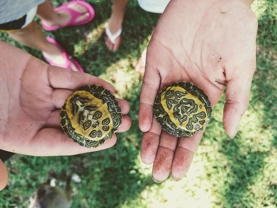 IMG_20180531_165058954