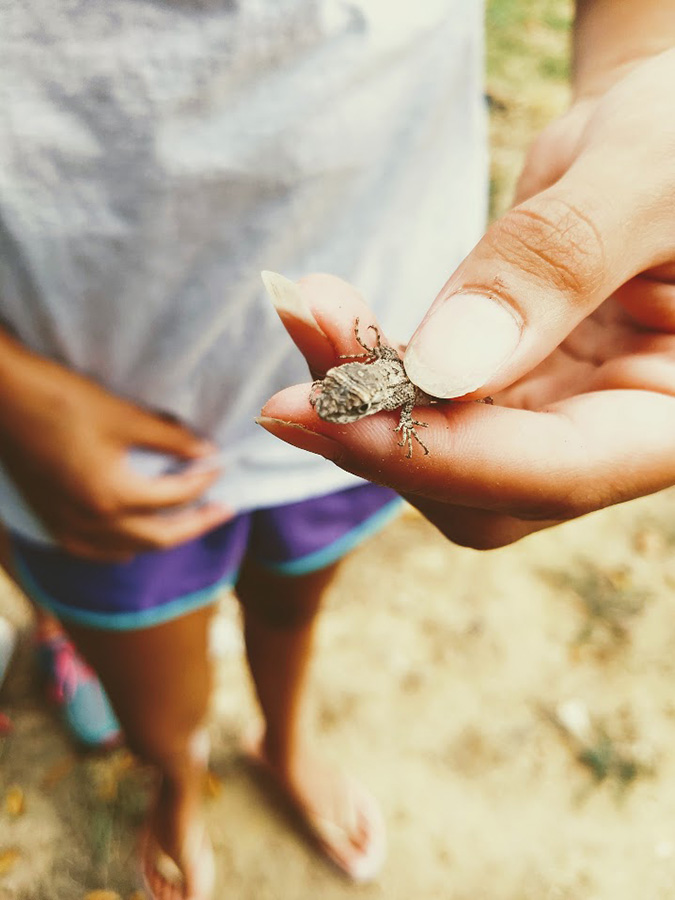 IMG_20180708_172553898