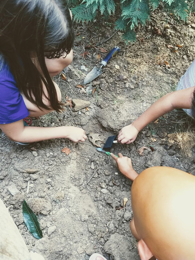 IMG_20180708_175220546