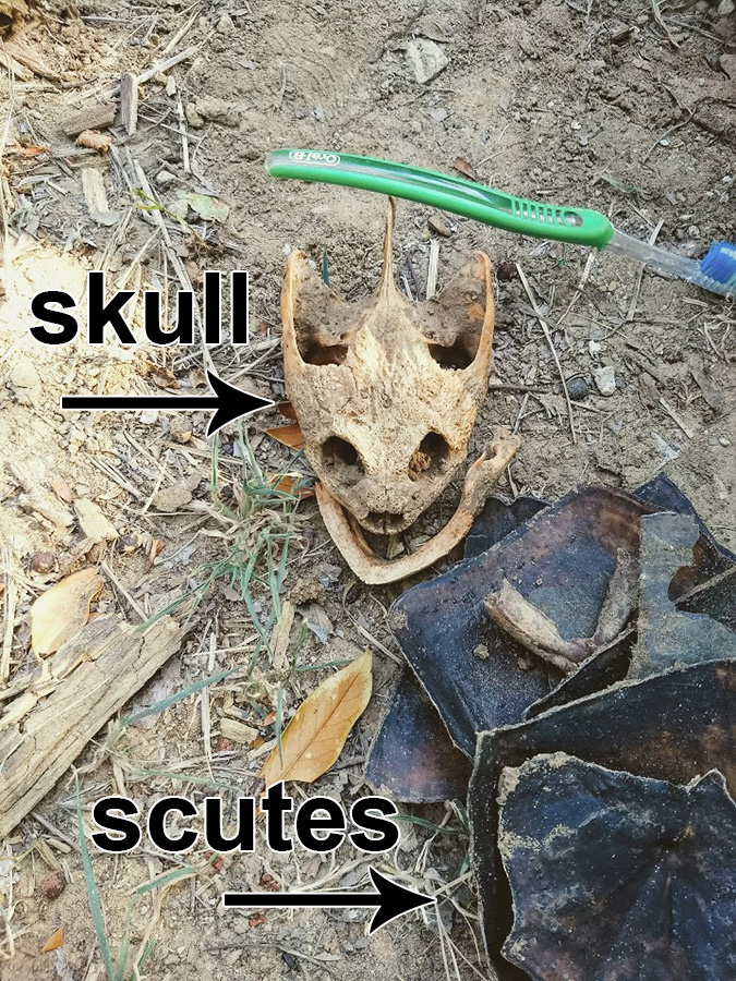 IMG_20180708_180115237