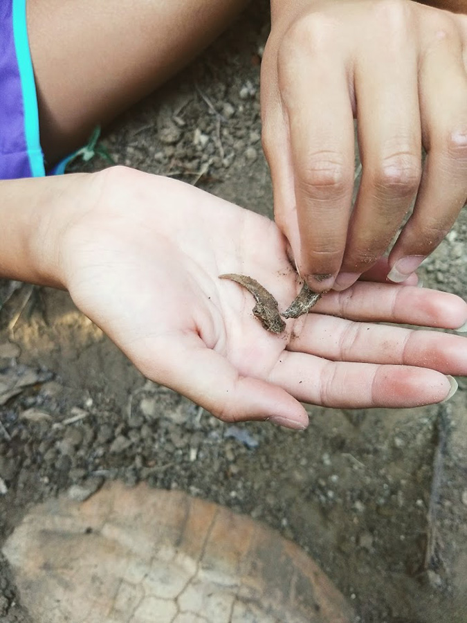 IMG_20180708_181839975