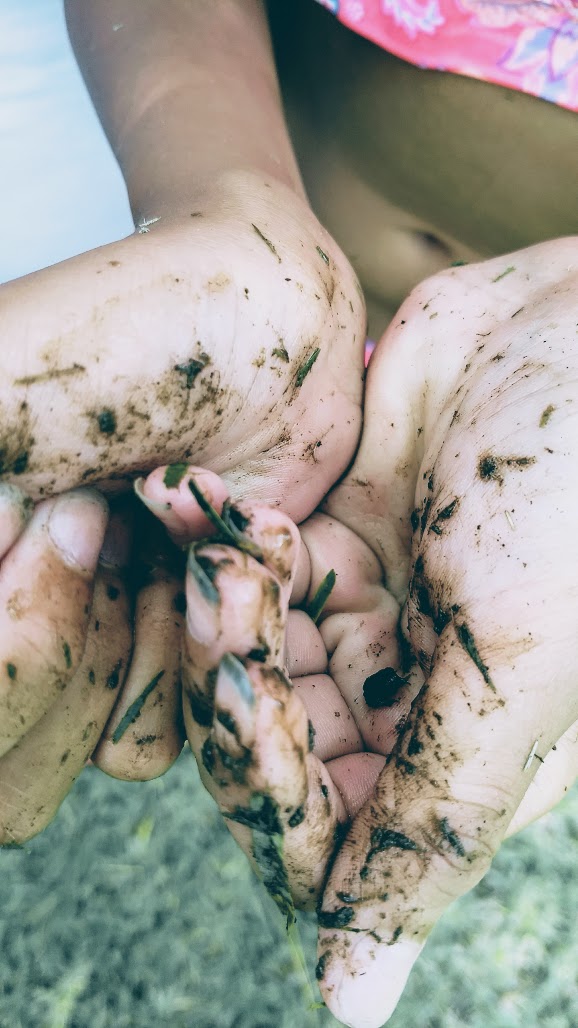 IMG_20170702_130554246