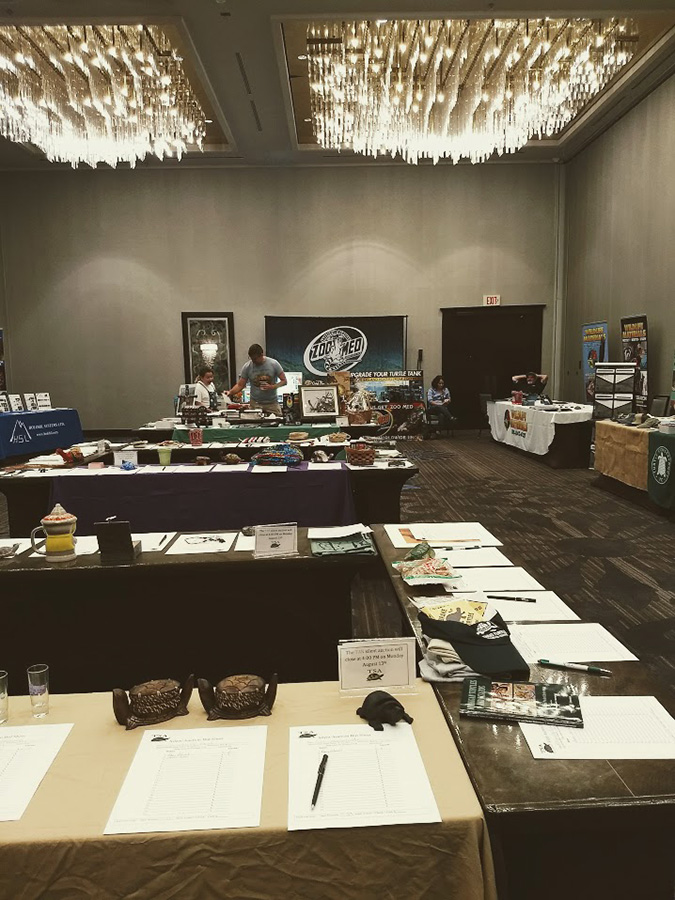 IMG_20180813_144133315