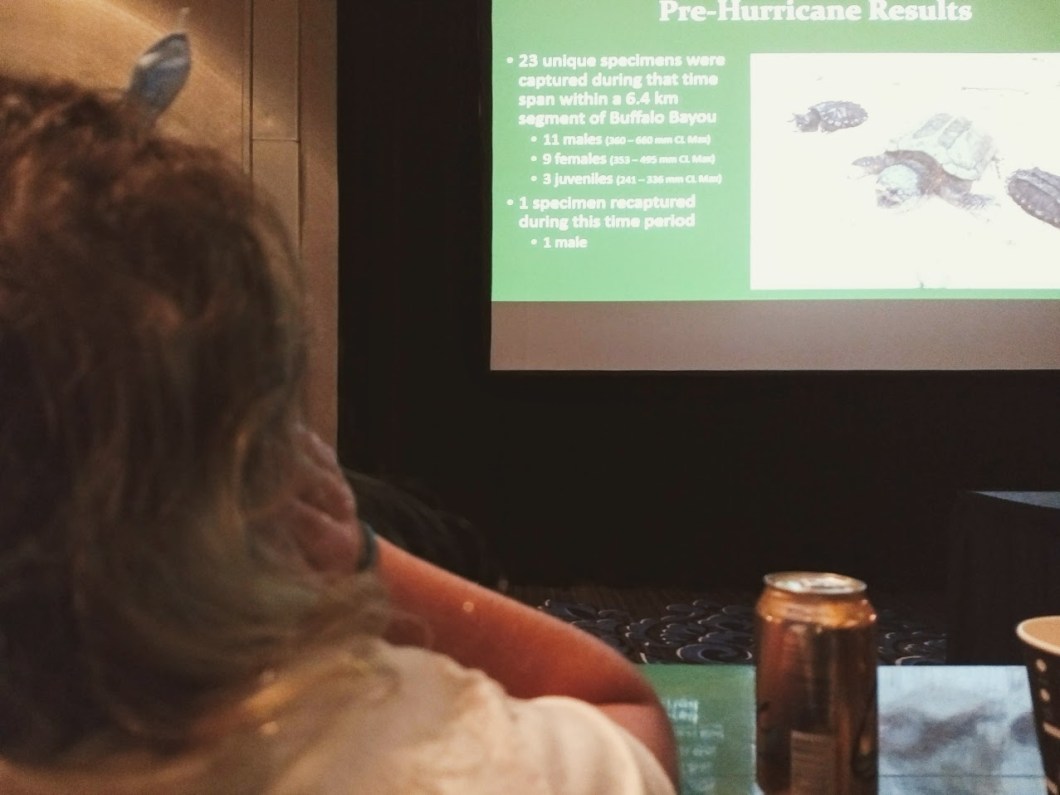 IMG_20180813_172241738_LL