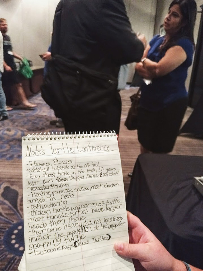 IMG_20180813_175047470_LL